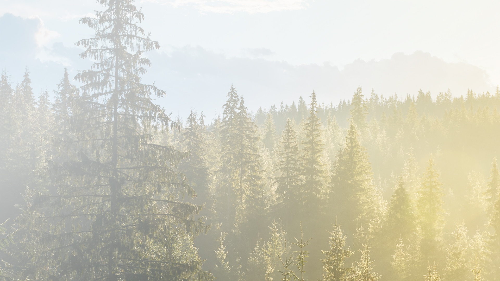 S'adapter ensemble au changement